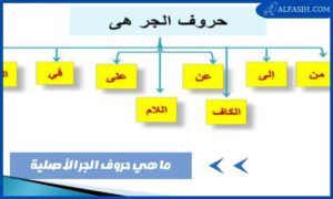 ما هي حروف الجر في اللغة العربية ومعانيها وأبرز دلالاتها