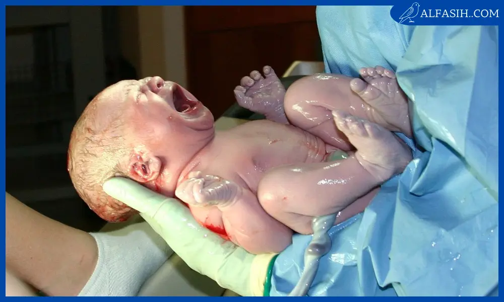 العناية بالطفل حديث الولادة3