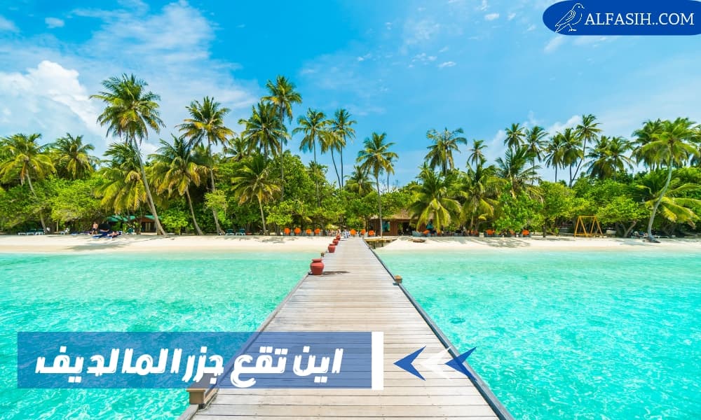 اين تقع جزر المالديف وما هي اللغة الرسمية فيها