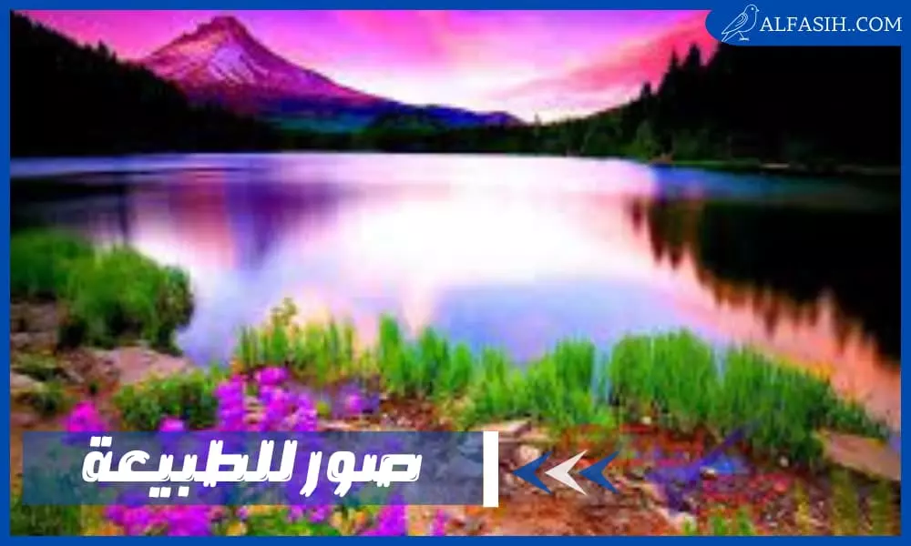 صور للطبيعة ساحرة تساعدك على التأمل