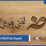 قصيدة عن اللغة العربية