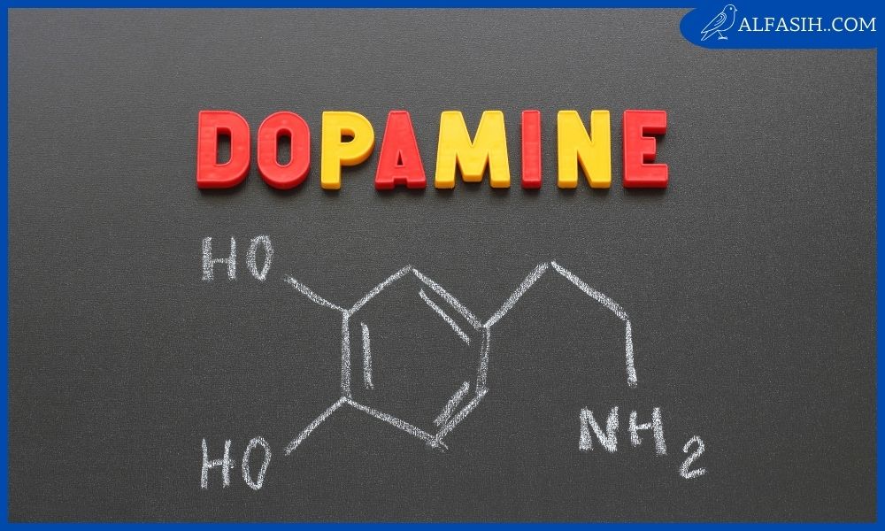 ما هو الدوبامين 1