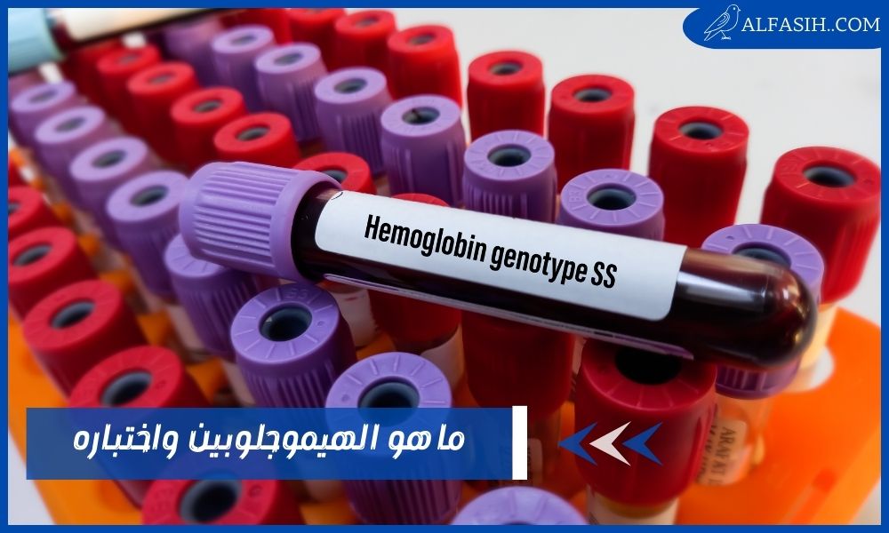 ما هو الهيموجلوبين ونصائح هامة للحفاظ على نسبته في الدم
