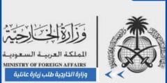 وزارة الخارجية طلب زيارة عائلية للمقيمين بالسعودية وشروطها