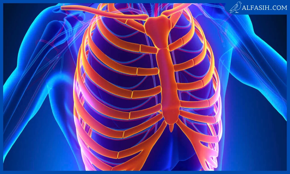 أسباب الم عظام القفص الصدري عند التنفس