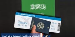 الاستعلام عن تاشيرة السعودية برقم الجواز