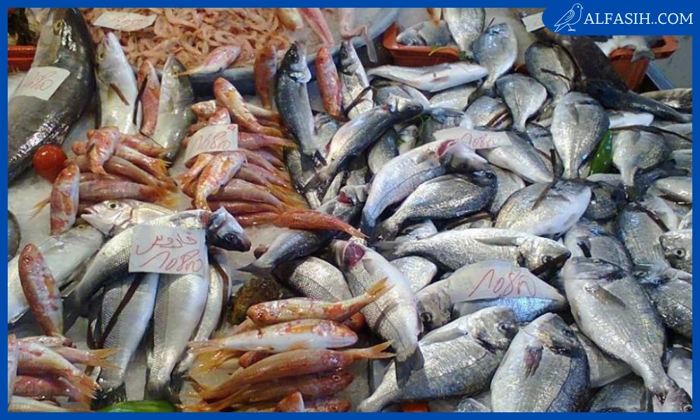 انواع الاسماك في السعودية