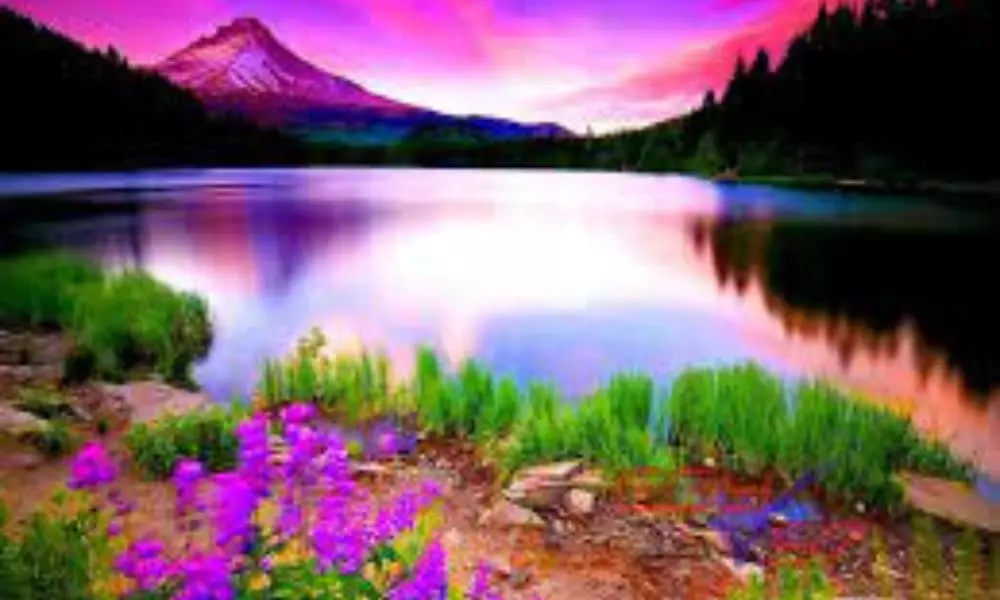 صور للطبيعة