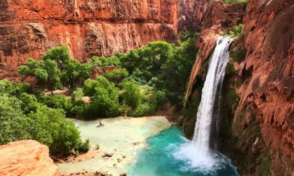 صور للطبيعة