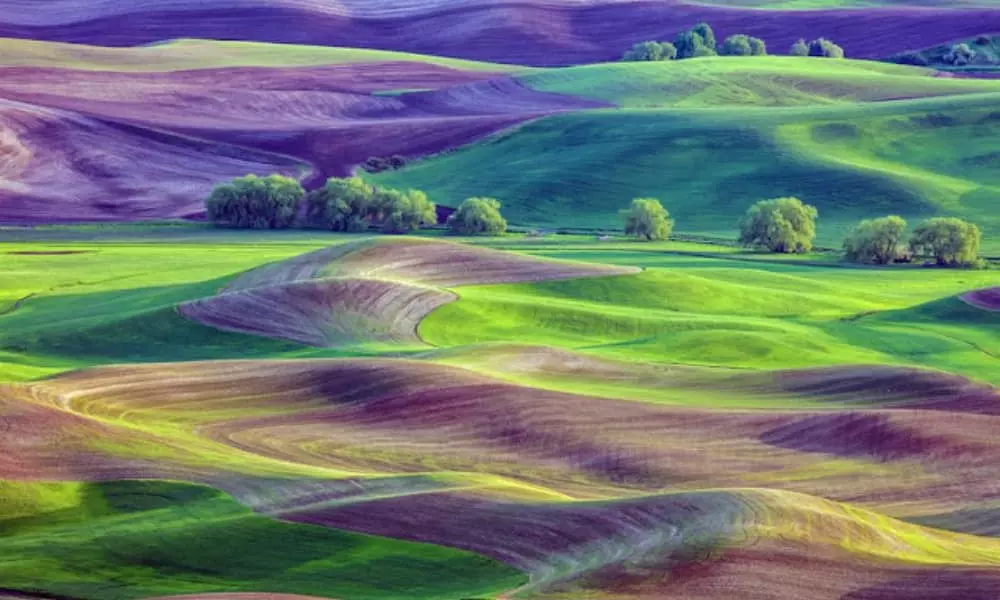 صور للطبيعة 