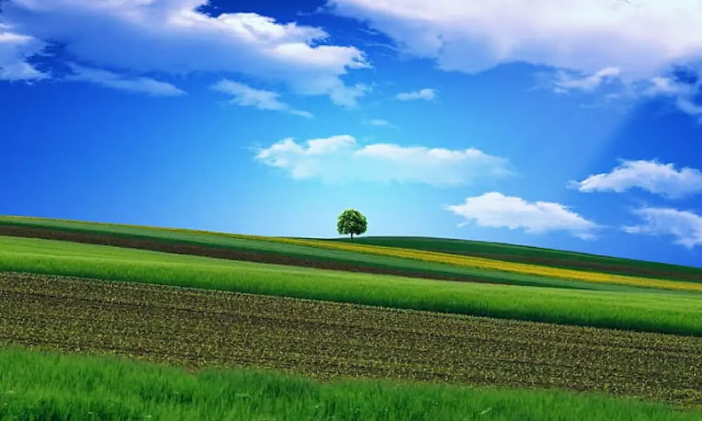صور للطبيعة 