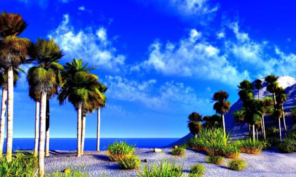 صور للطبيعة 