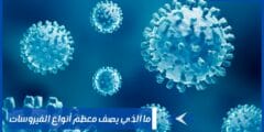 ما الذي يصف معظم أنواع الفيروسات وهل توجد لها أهمية؟