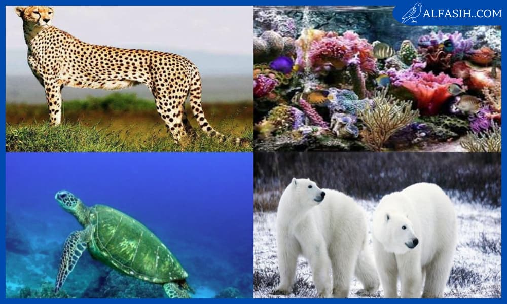 أبرز 10 حيوانات مهددة بالانقراض