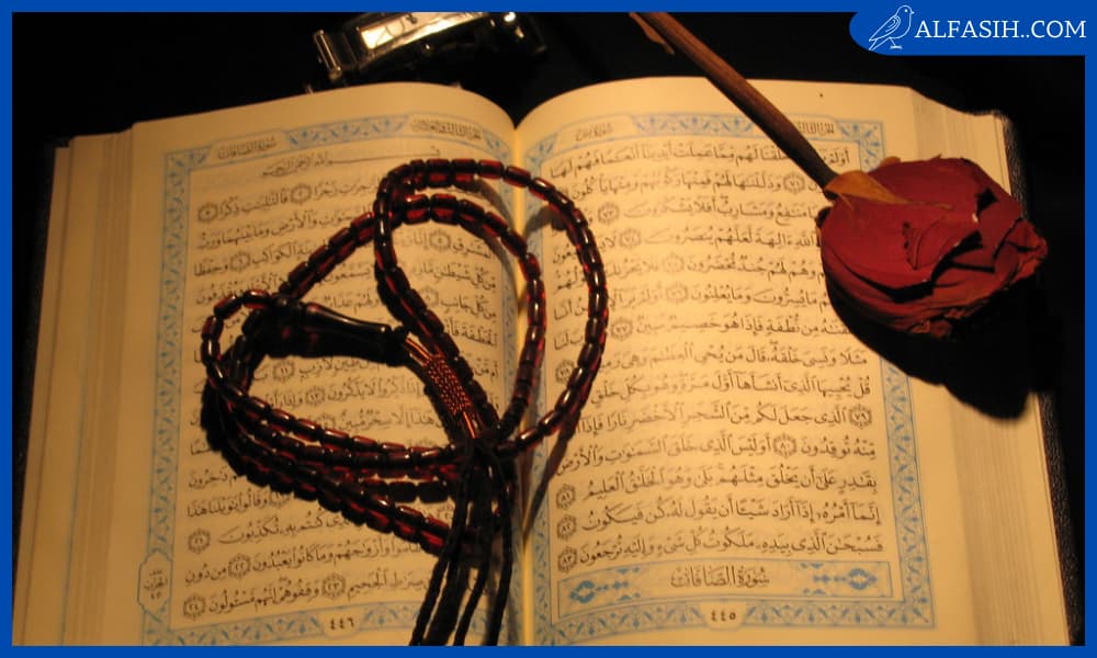 أجمل آيات قرآنية لحفظ النفس