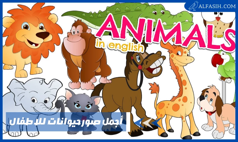 أجمل صور حيوانات للاطفال
