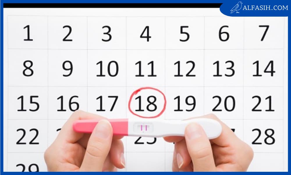 أسهل طريقة لحساب أيام التبويض