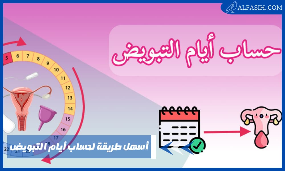 أسهل طريقة لحساب أيام التبويض