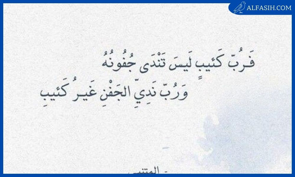 ابيات شعر حكمة قصيرة 2