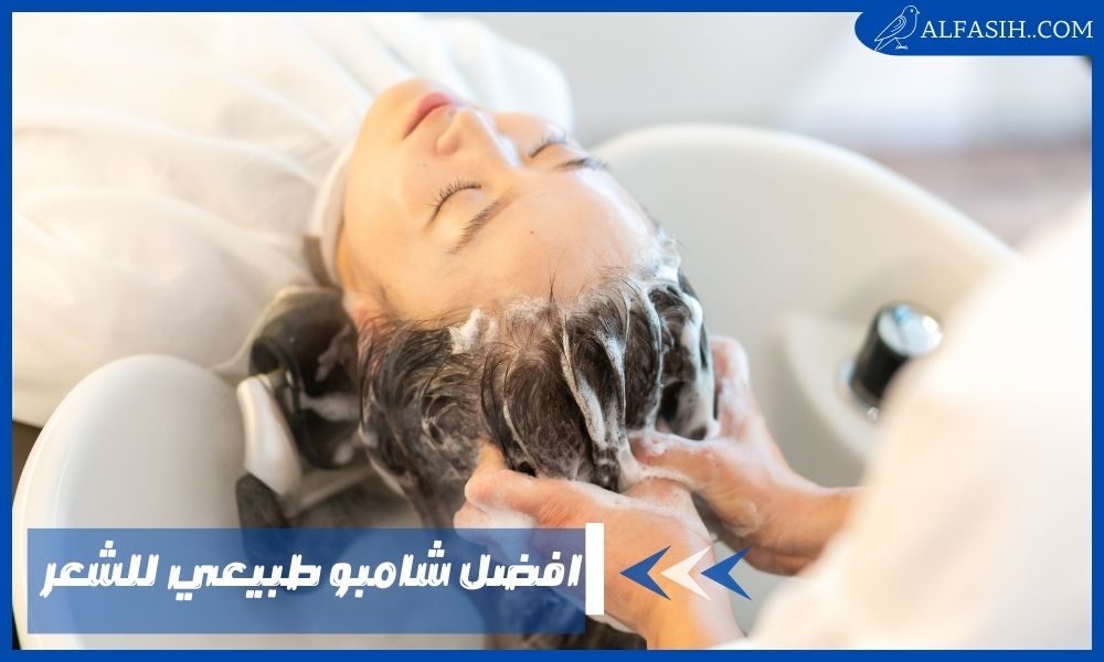 افضل شامبو طبيعي للشعر