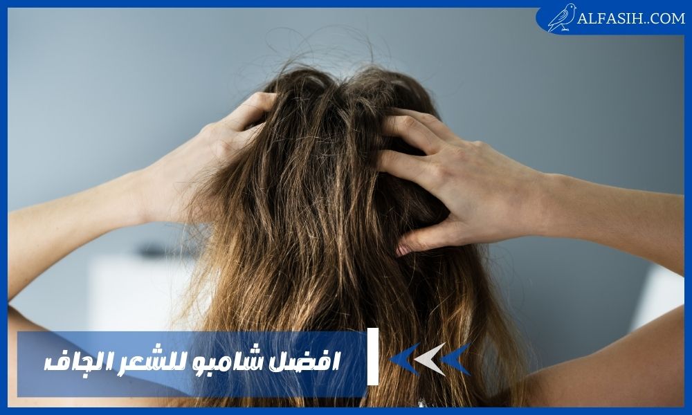 افضل شامبو للشعر الجاف