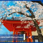 السياحة في اليابان : افضل 4 مناطق سياحية في اليابان