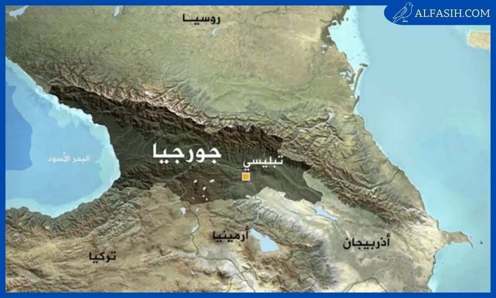 اين تقع جورجيا 2