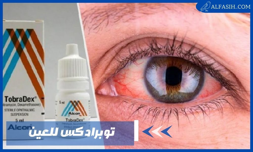 توبرادكس للعين