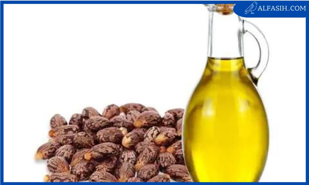 زيت الخروع