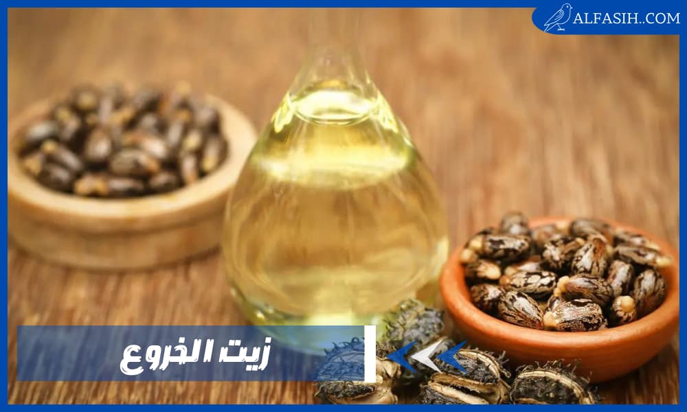 ما هي فوائد زيت الخروع للصحة