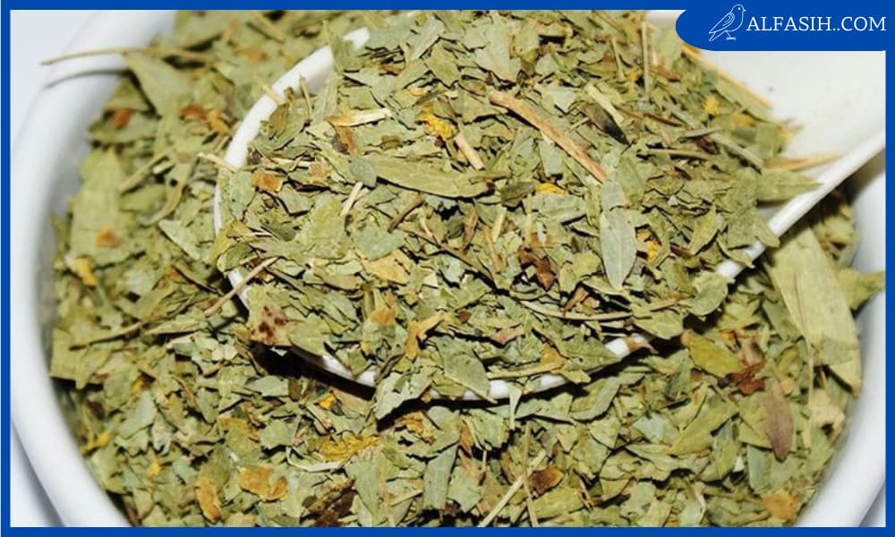 طريقة استخدام سنا مكي لتنظيف البطن