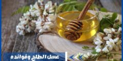 21 فائدة في تناول عسل الطلح – استكشف طبيعة الذهب السائل