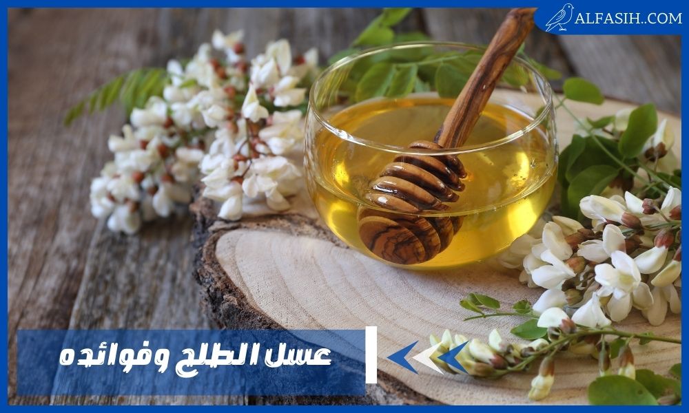 عسل الطلح