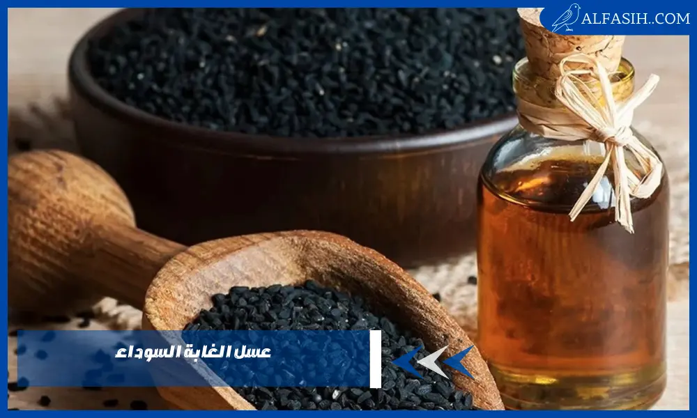 اهم 3 فوائد في عسل الغابة السوداء الأصلي