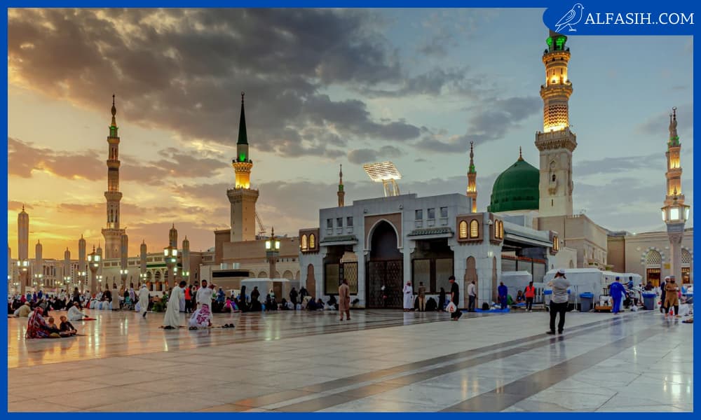 فضل زيارة قبر الرسول