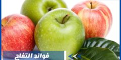 ما هي فوائد التفاح للصحة