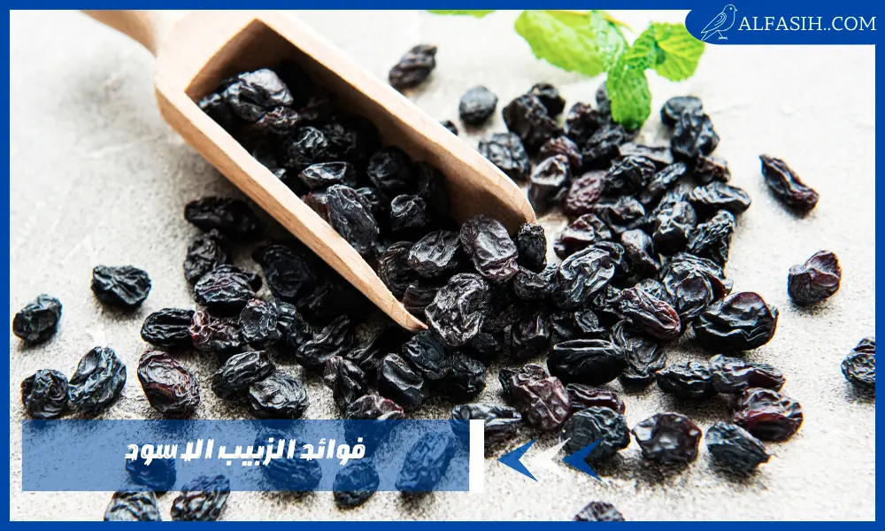 فوائد الزبيب الاسود وقيمته الغذائية والكمية المسموحة منه