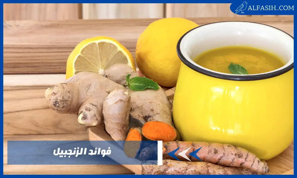 فوائد الزنجبيل للحد من الصداع وتخفيف التهابات الجهاز التنفسي