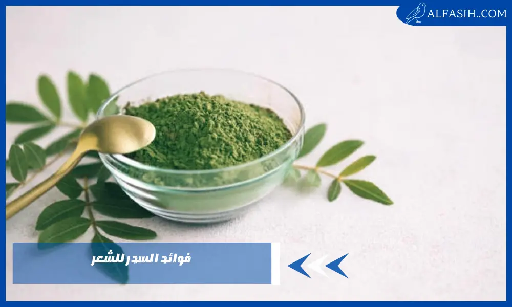 فوائد السدر للشعر