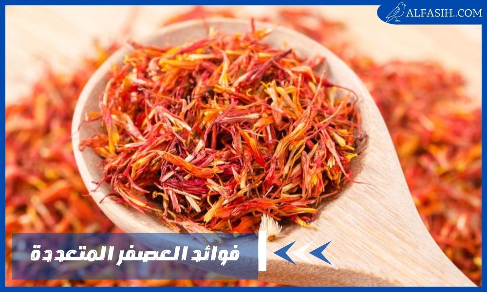 اهم فوائد العصفر للأعصاب وتحسين صحة القلب
