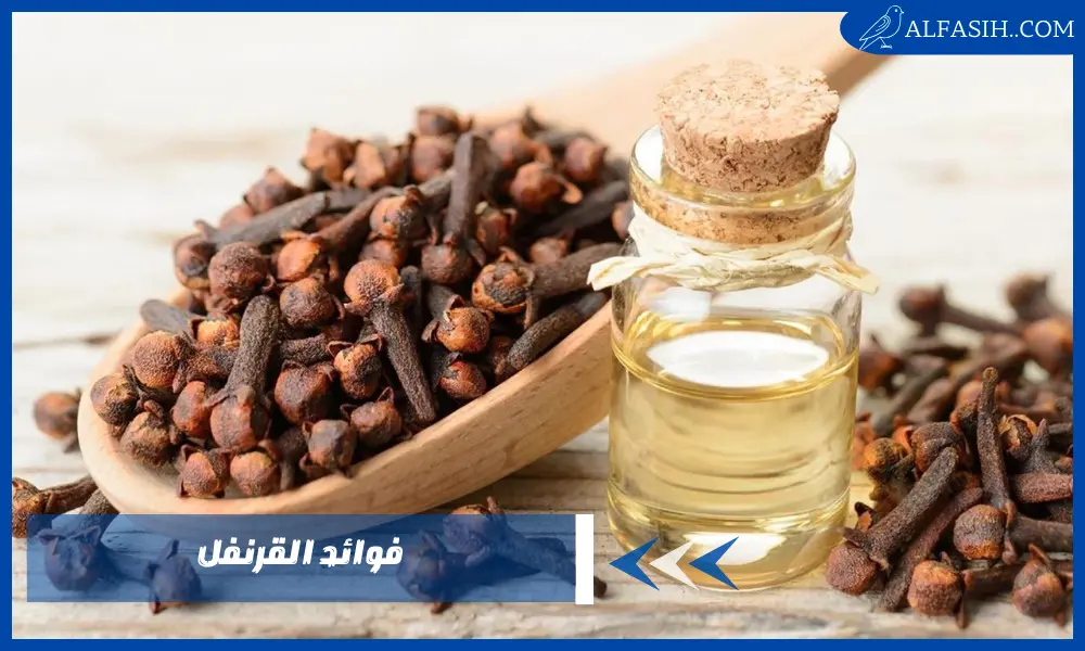 فوائد القرنفل المغلي على الريق وهل يعزز المناعة