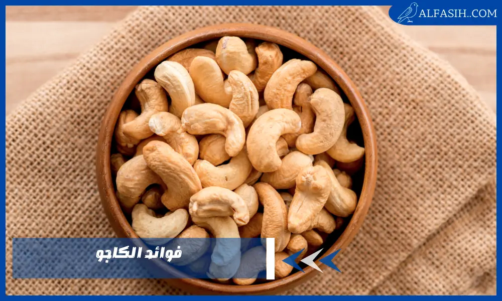 أبرز فوائد الكاجو والقيمة الغذائية في تناوله