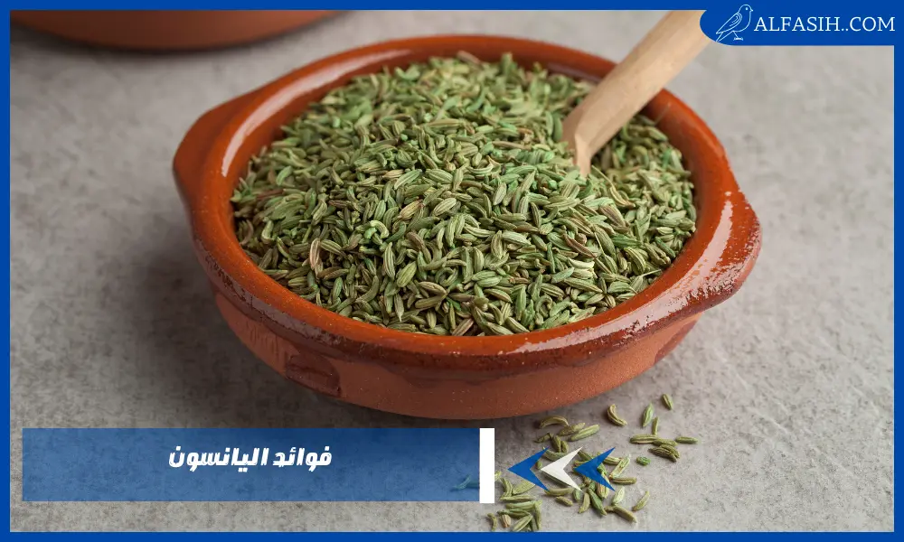 اليك أهم فوائد اليانسون للقولون – هل اليانسون يطرد الغازات