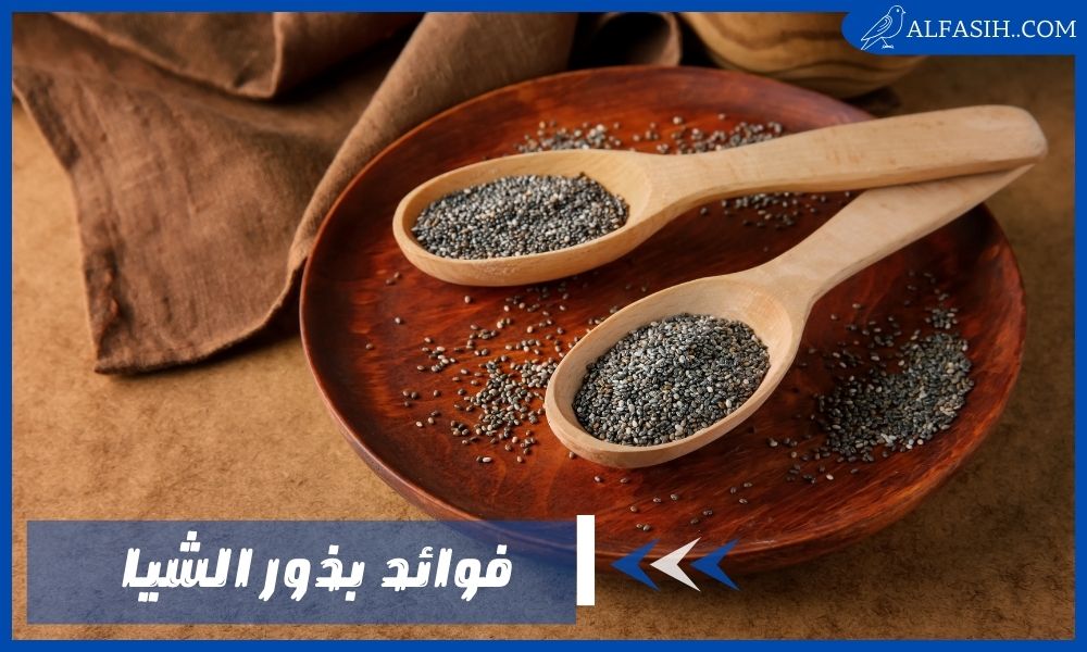 فوائد بذور الشيا للصحة وهل لها تأثير على الأعصاب؟