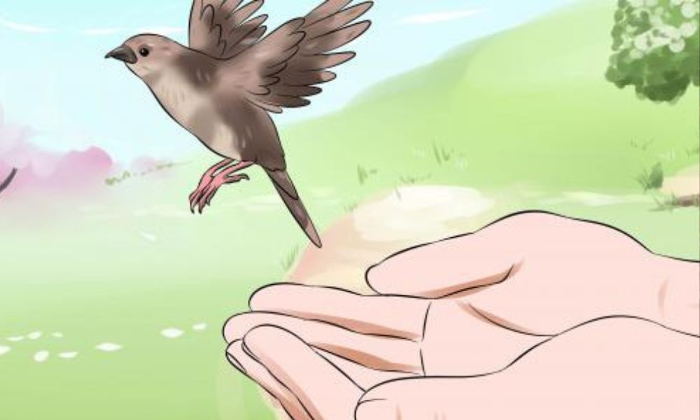 قصص قصيرة فيها حكمة كبيرة 13
