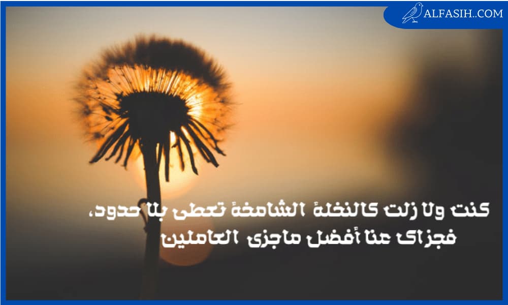 كلمات شكر وثناء لشخص عزيز