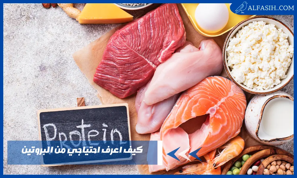 كيف اعرف احتياجي من البروتين بشكل يومي لبناء العضلات