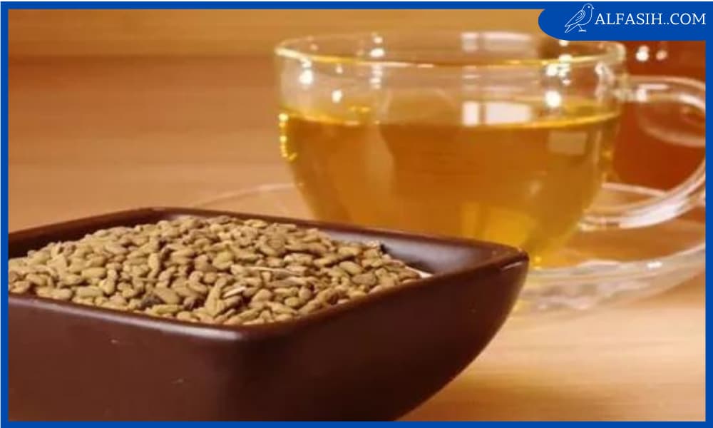 كيفية استعمال الحلبة لزيادة الوزن في أسبوع