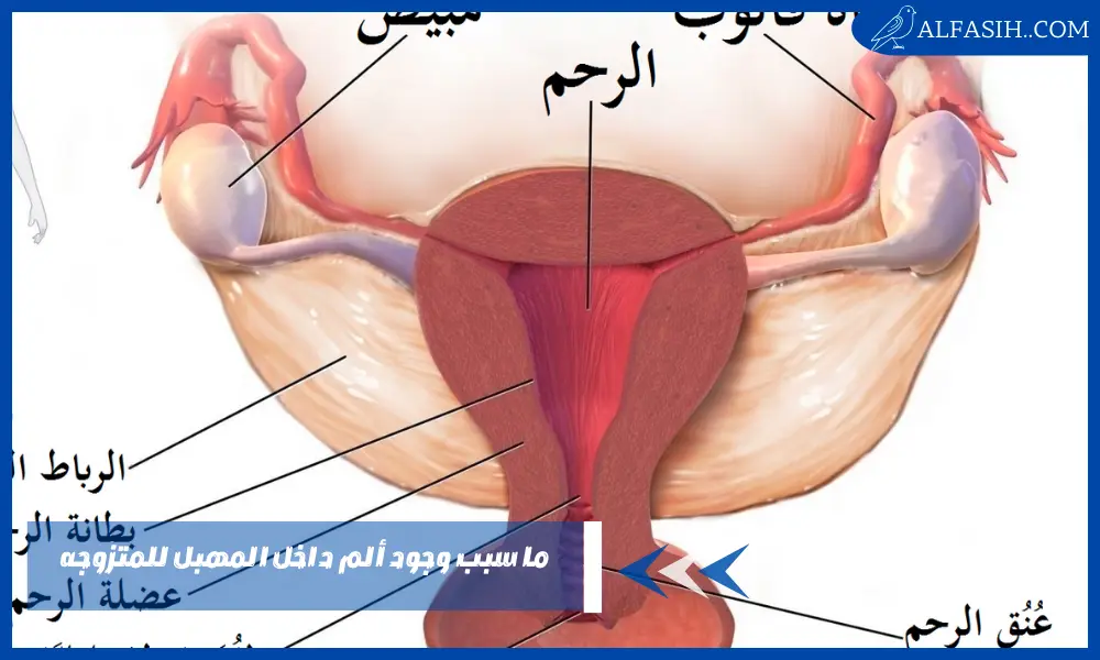 ما سبب وجود ألم داخل المهبل للمتزوجه