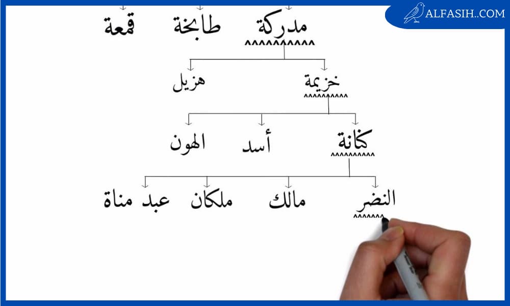 نسب الرسول